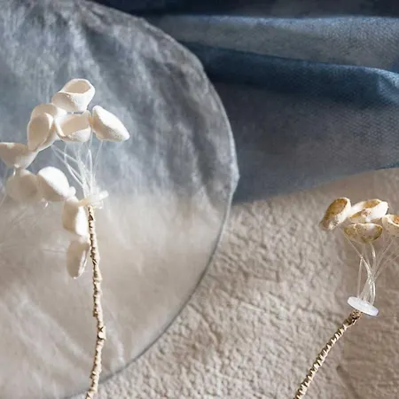 Bed & Breakfast La Barca Ant Al Pra Cuneo