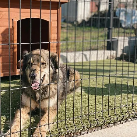 Bed & Breakfast La Barca Ant Al Pra 3*