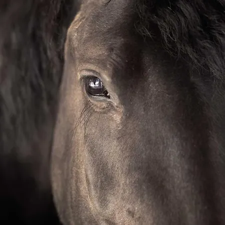 La Barca Ant Al Pra 3* Cuneo