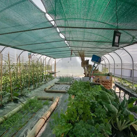 La Barca Ant Al Pra 3*