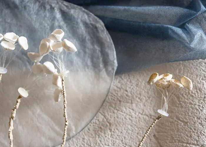 לינה וארוחת בוקר La Barca Ant Al Pra קונאו