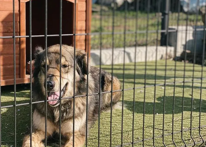 לינה וארוחת בוקר La Barca Ant Al Pra 3*