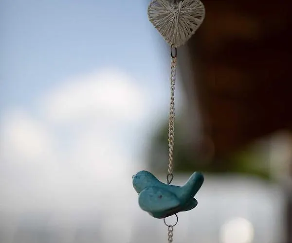 לינה וארוחת בוקר La Barca Ant Al Pra